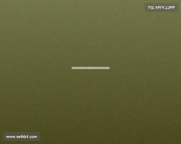 谢什科两度转会创下斯洛文尼亚球员历史最高转会费纪录 谢什科两度转会创下斯洛文尼亚球员历史最高转会费纪录