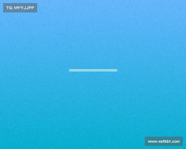 安东：能够参加世俱杯这样的赛事本身就是一件无比特别且荣耀的事情