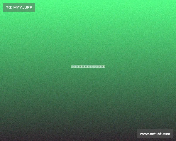 队内冲突与团队协作效率的关系分析及解决策略探讨